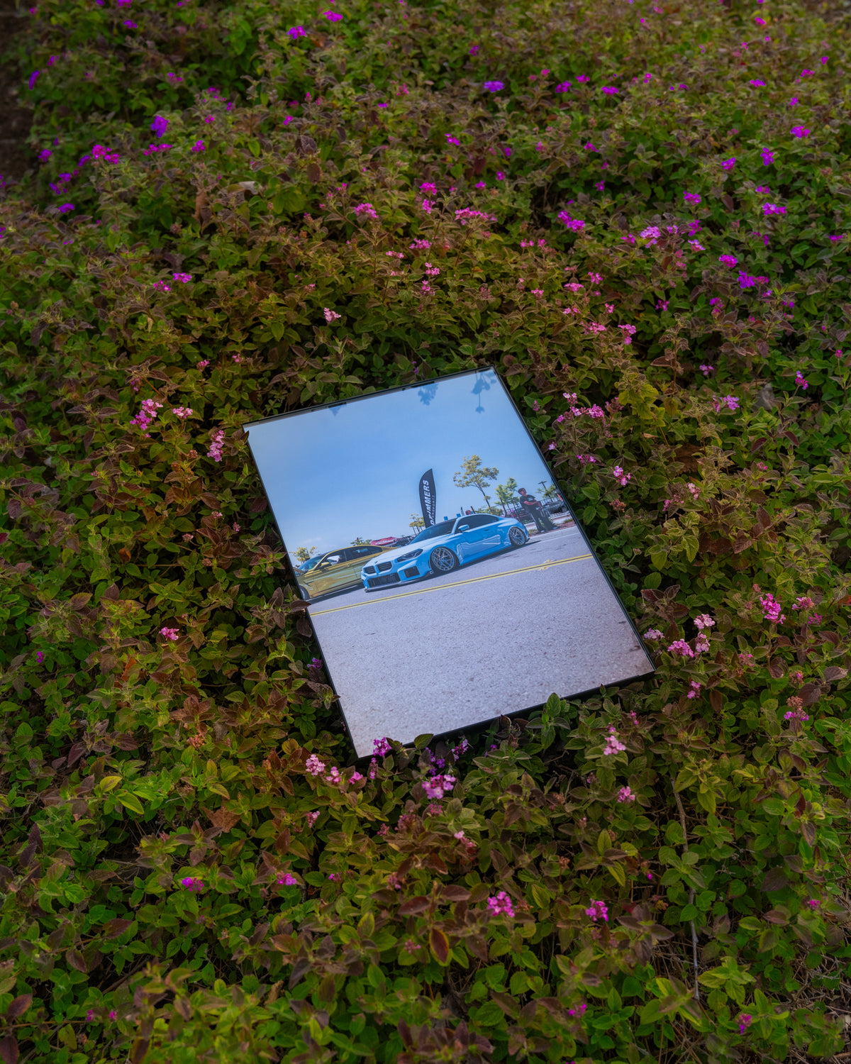 Photography - Essential / Performance