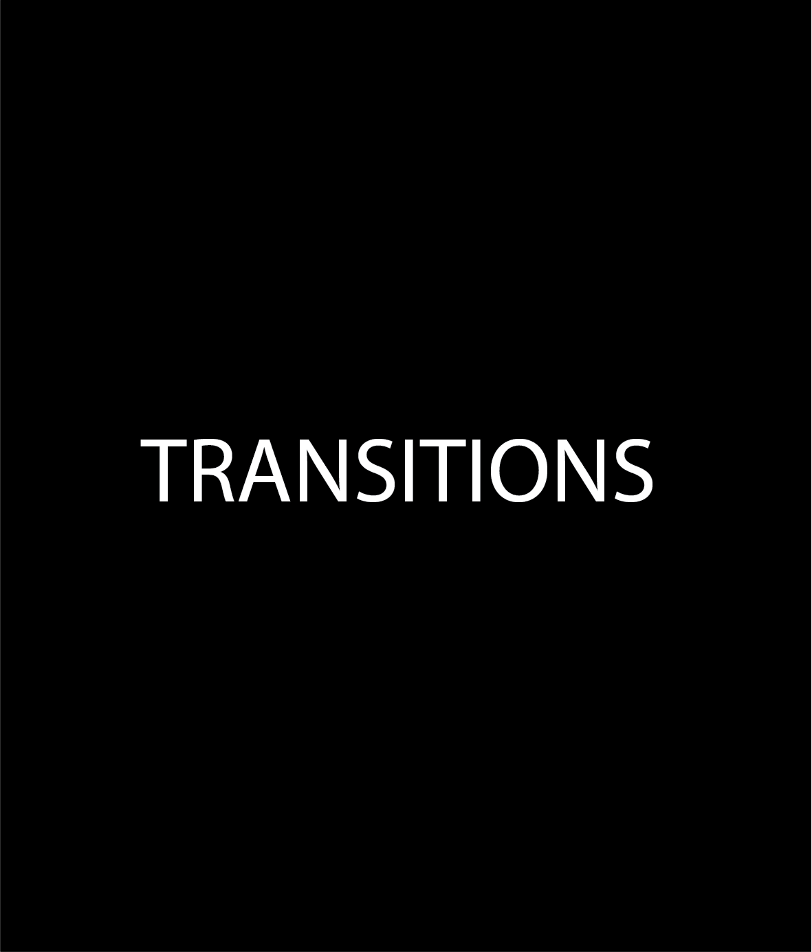 TRANSITION-wheel