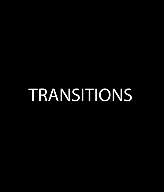 TRANSITION-wheel